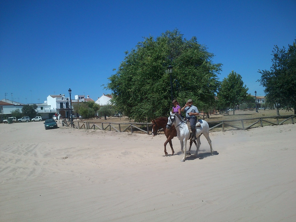 Paarden in de zandstraten van El Rocio