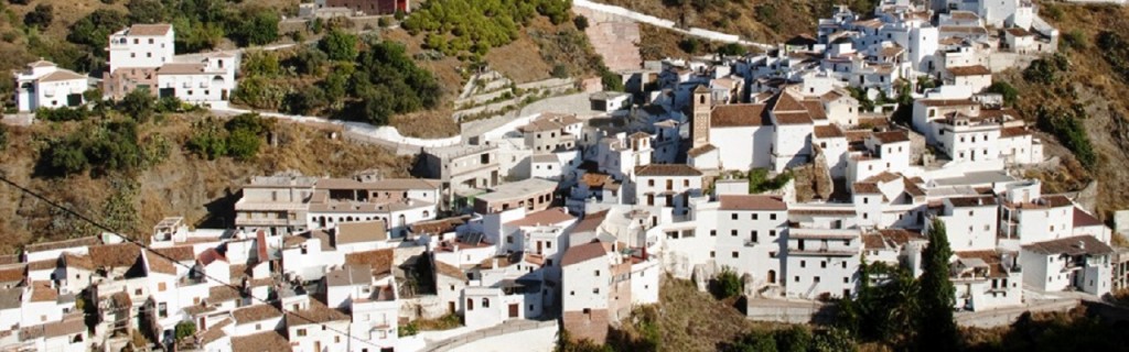 de kleine witgewassen dorpjes in Andalusië: Salares