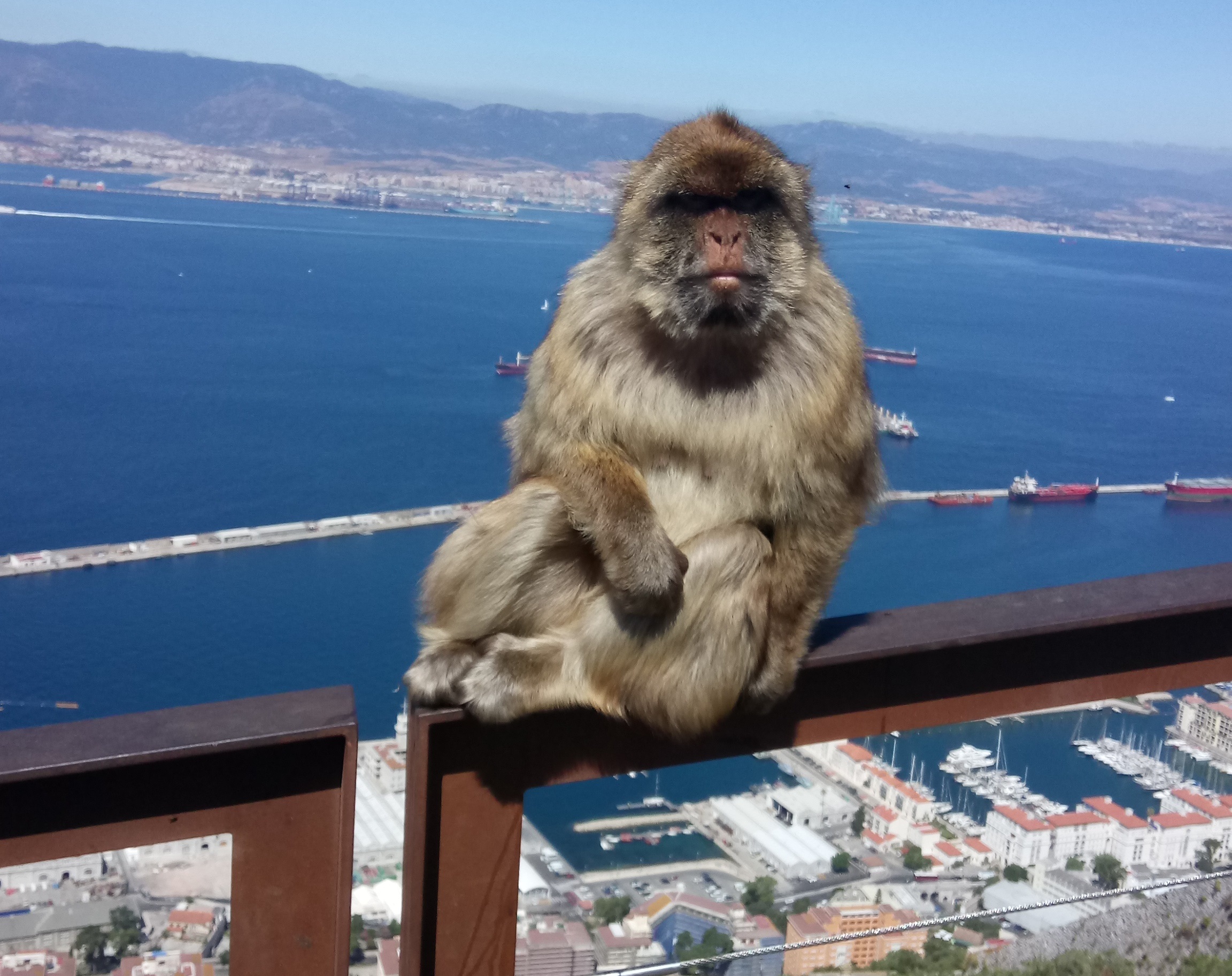 Hoe kun je ondanks de toeristische drukte authentieke ervaringen van Gibraltar opdoen?