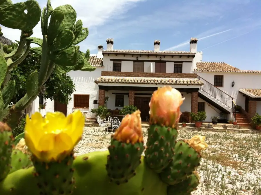 het cortijo