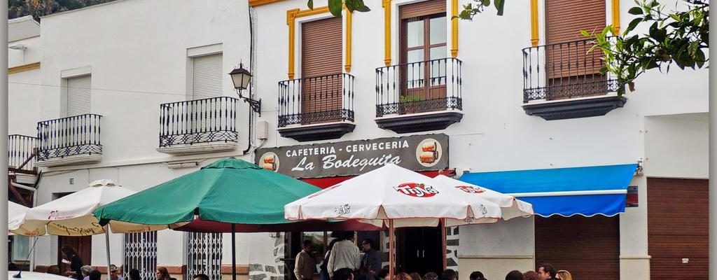 Dakapartement in het witte andalusische dorp van Algodonales