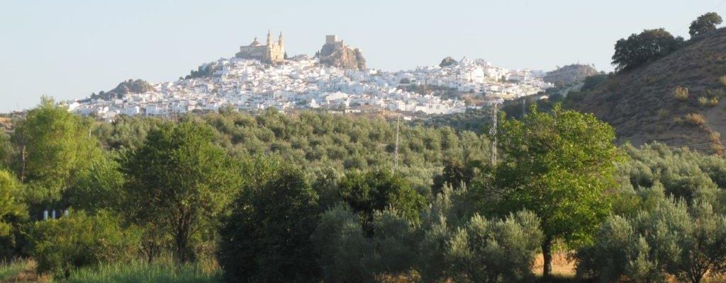 Andalusië Olvera Country House 44524