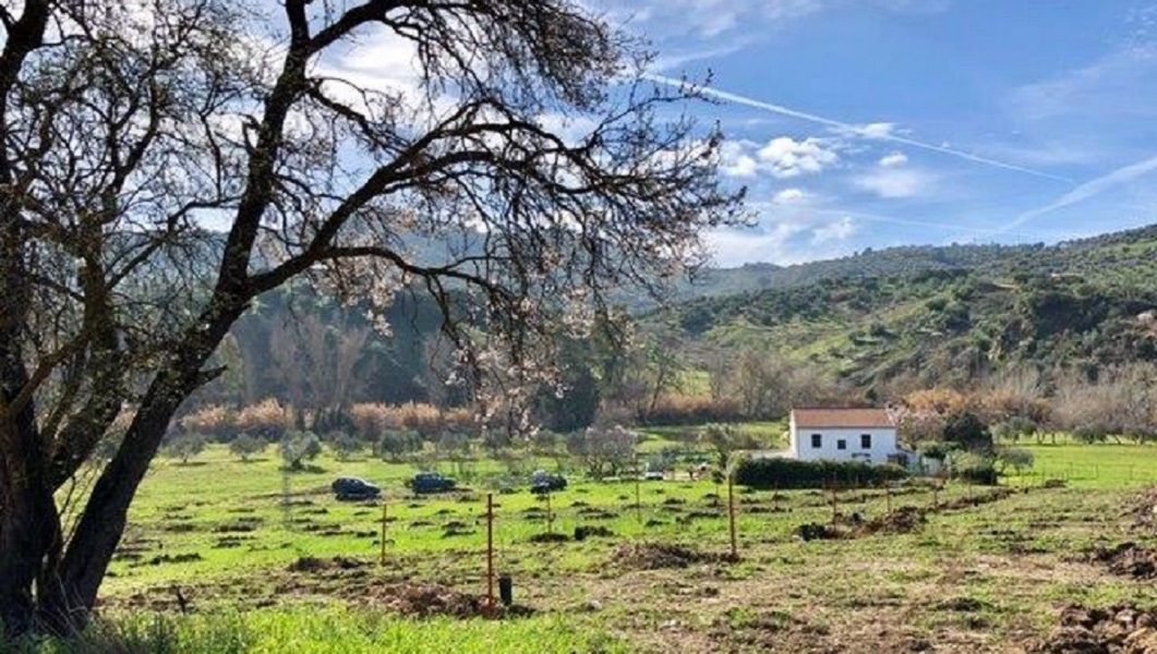 Huisje bij Olvera, Andalusië