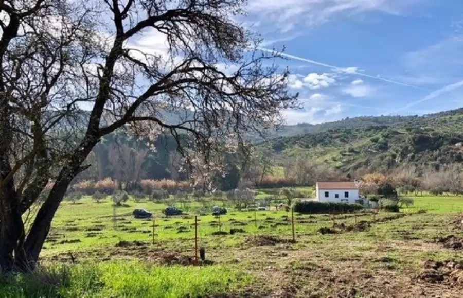 Huisje bij Olvera, Andalusië