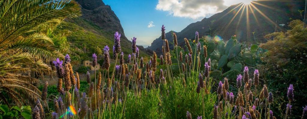 Canarische Eilanden Tenerife Los Carrizales Finca 1864